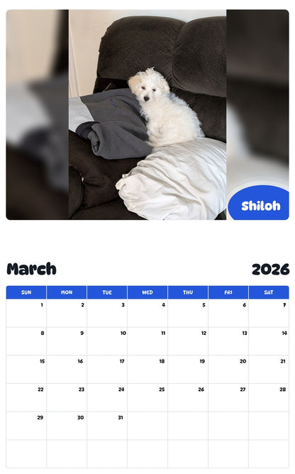 November 2025 - October 2026 Shiloh - Pawidols Pet Calendar