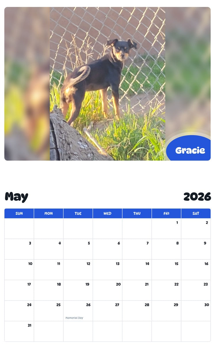 2026 - 2027 Gracie - Pawidols Pet Calendar