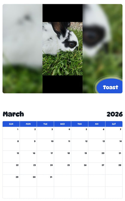 November 2025 - October 2026 Toast - Pawidols Pet Calendar