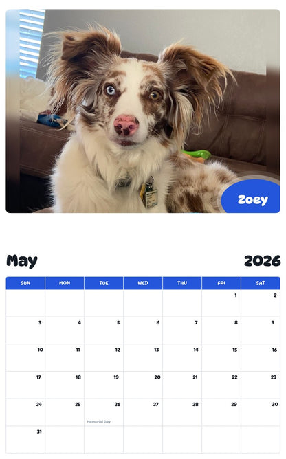 2026 - 2027 Zoey - Pawidols Pet Calendar