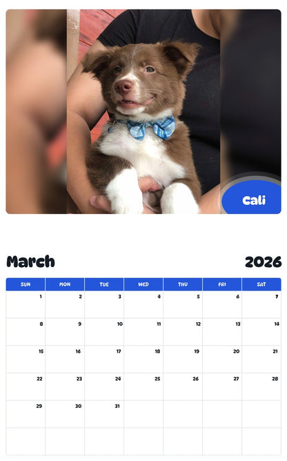 November 2025 - October 2026 Cali - Pawidols Pet Calendar