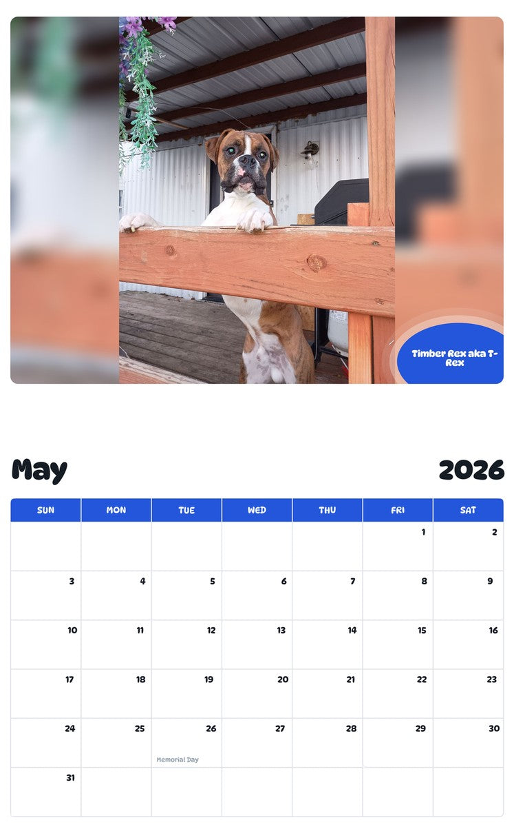 2026 - 2027 Timber Rex aka T-Rex - Pawidols Pet Calendar