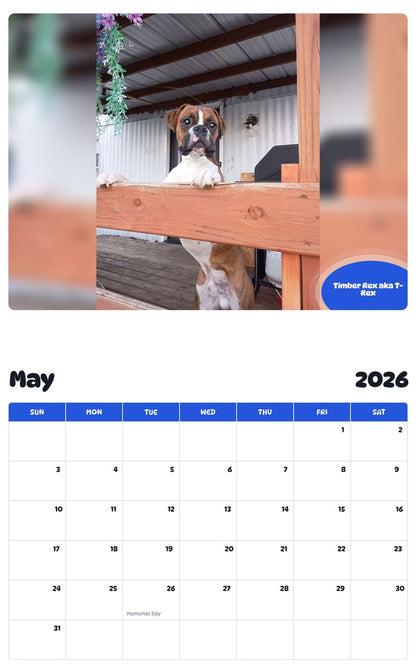 2026 - 2027 Timber Rex aka T-Rex - Pawidols Pet Calendar