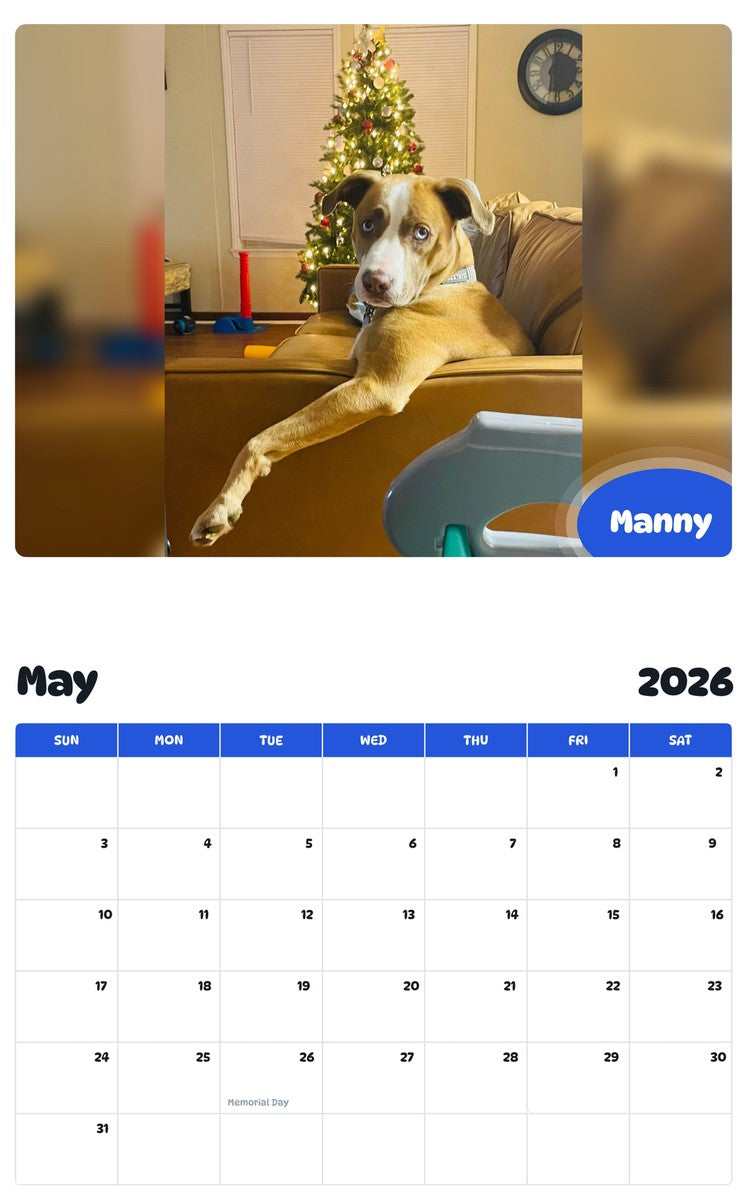 2026 - 2027 Manny - Pawidols Pet Calendar
