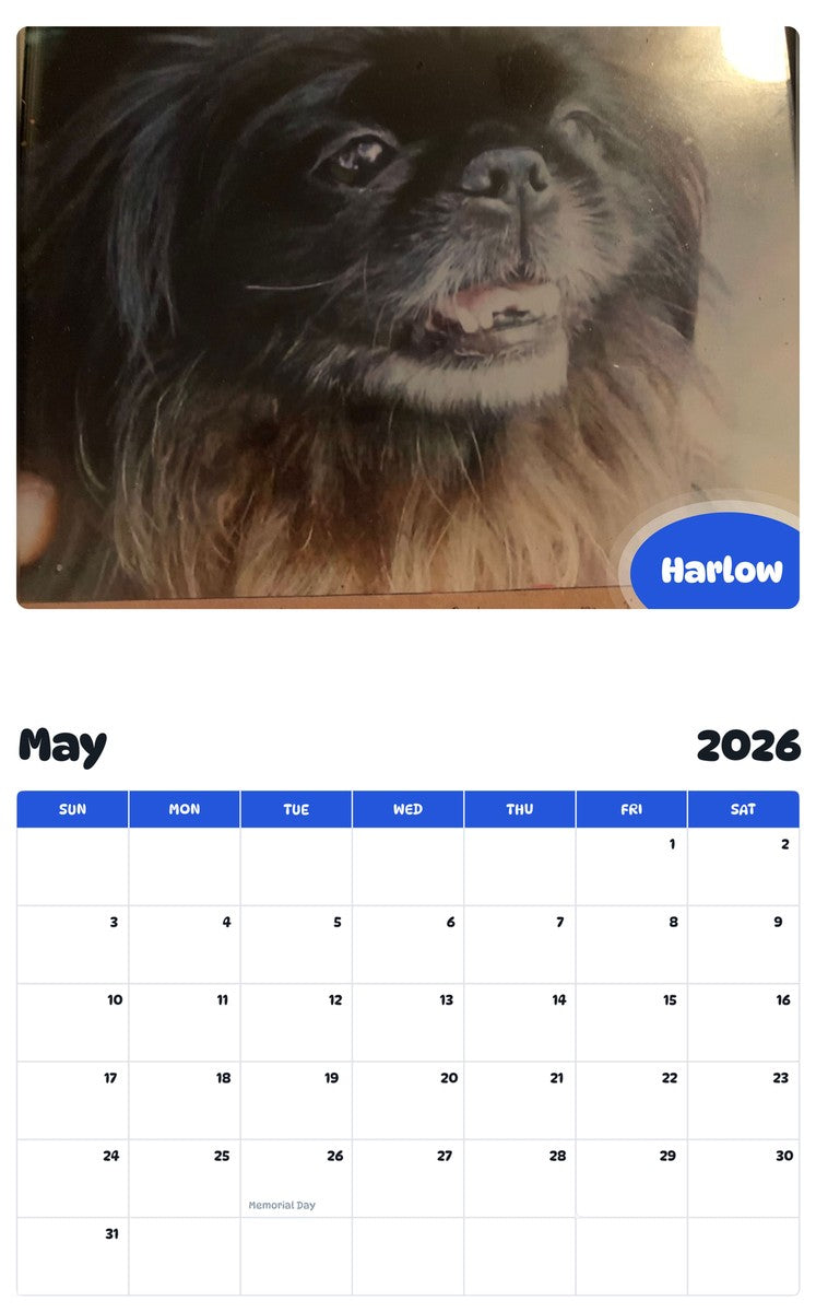 2026 - 2027 Harlow - Pawidols Pet Calendar