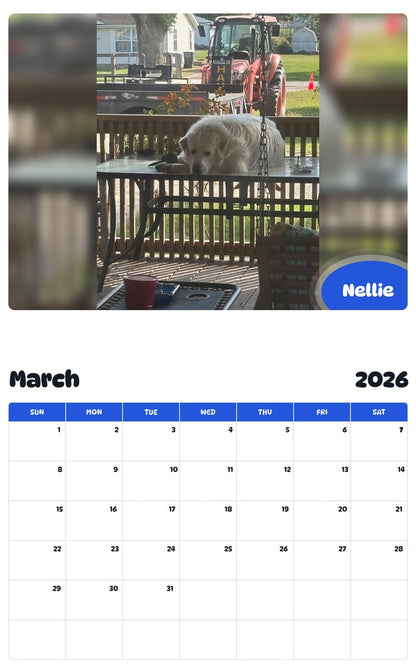 November 2025 - October 2026 Nellie - Pawidols Pet Calendar