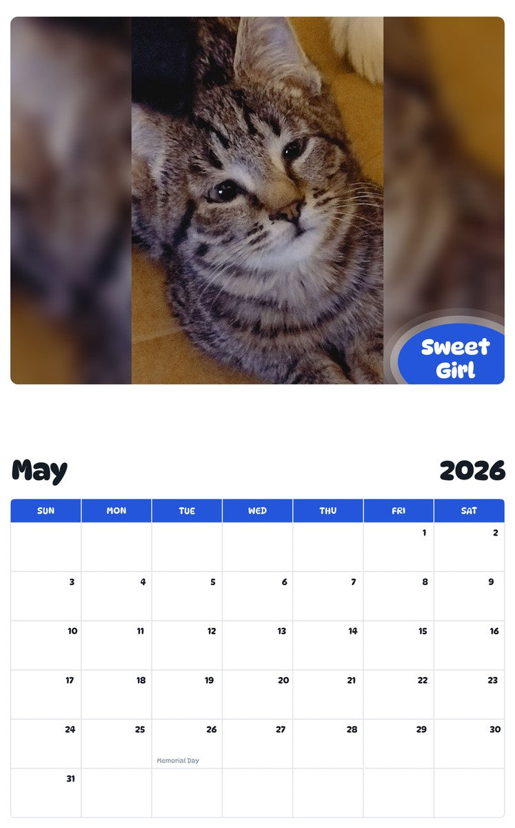 2026 - 2027 Sweet Girl - Pawidols Pet Calendar
