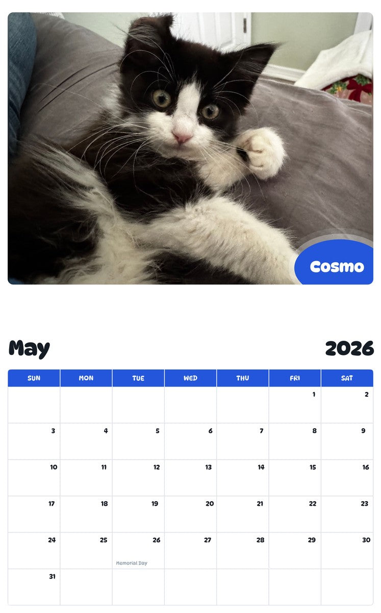 2026 - 2027 Cosmo - Pawidols Pet Calendar