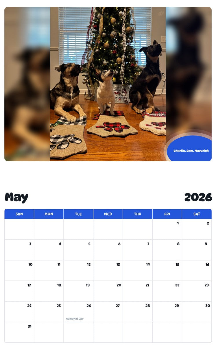2026 - 2027 Charlie, Sam, Maverick - Pawidols Pet Calendar