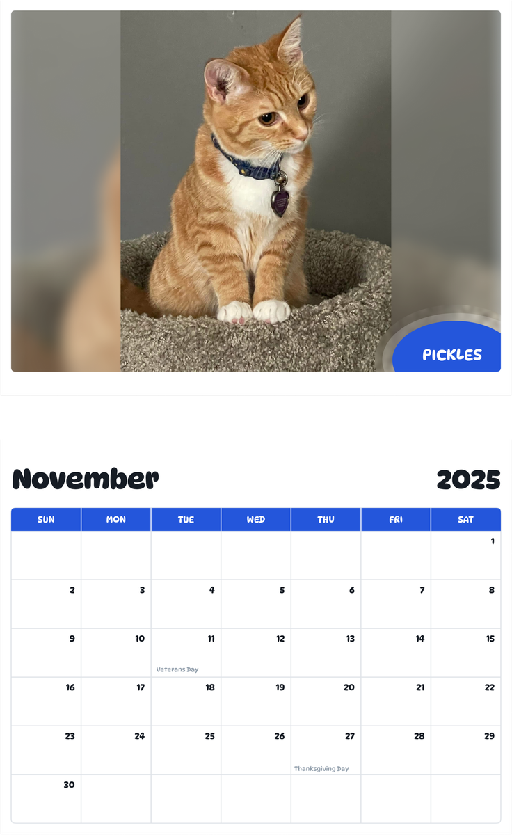 July 2025 - June 2026 Pickles - Pawidols Pet Calendar