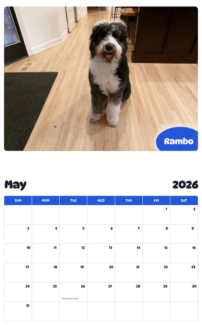 2026 - 2027 Rambo - Pawidols Pet Calendar