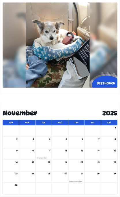 July 2025 - June 2026 Beethoven - Pawidols Pet Calendar