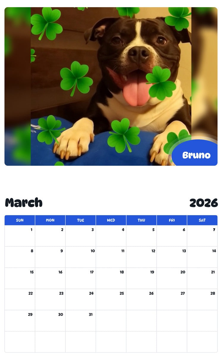 November 2025 - October 2026 Bruno - Pawidols Pet Calendar