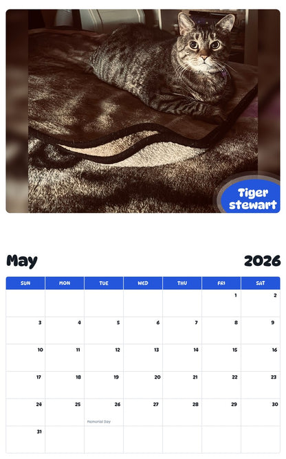 2026 - 2027 Tiger stewart - Pawidols Pet Calendar