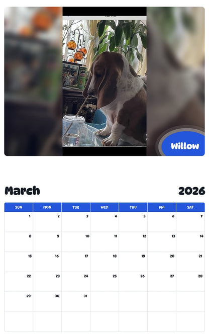 November 2025 - October 2026 Willow - Pawidols Pet Calendar