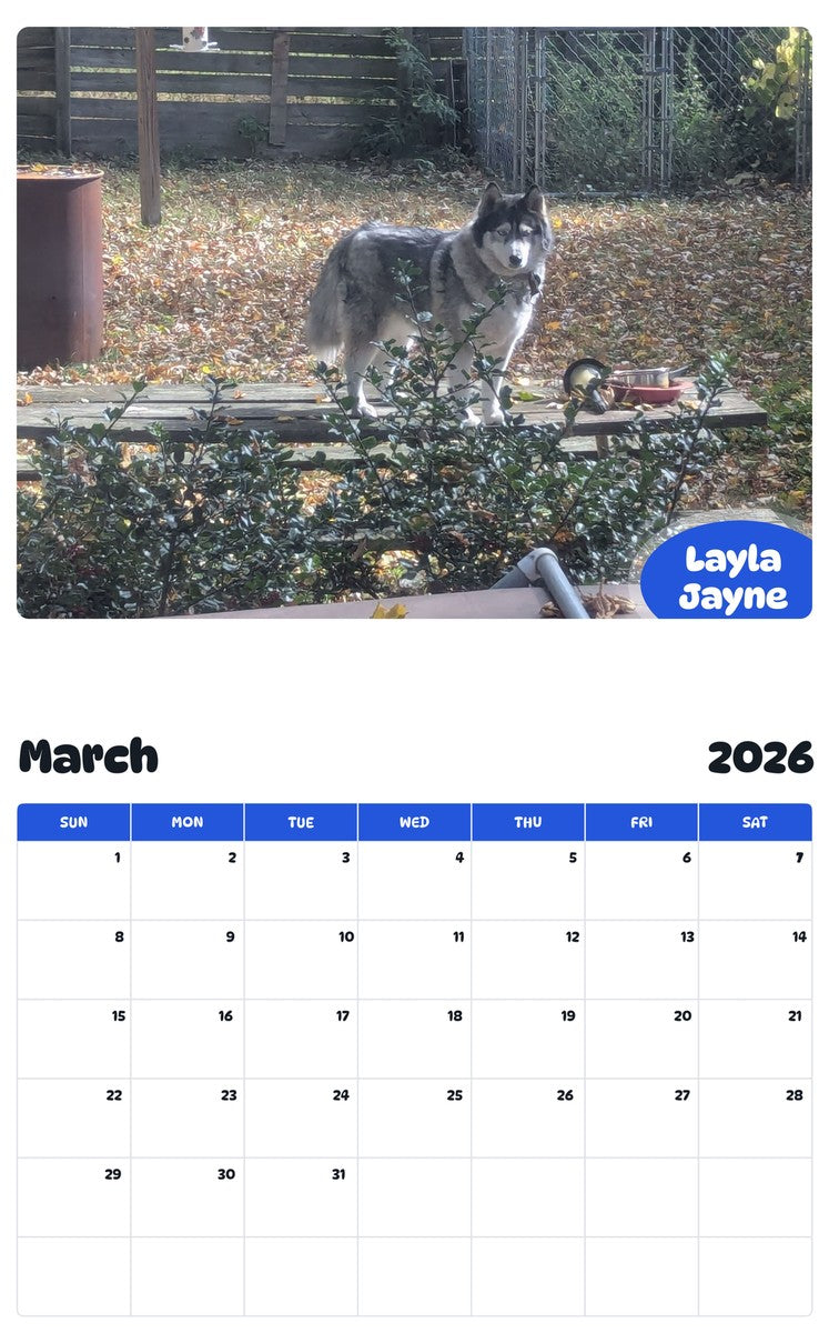 November 2025 - October 2026 Layla Jayne - Pawidols Pet Calendar