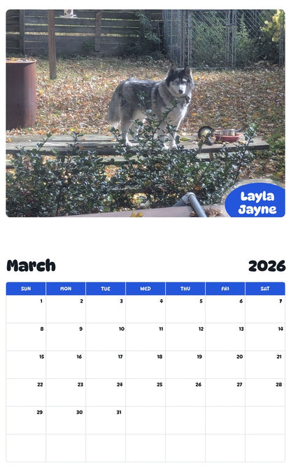 November 2025 - October 2026 Layla Jayne - Pawidols Pet Calendar
