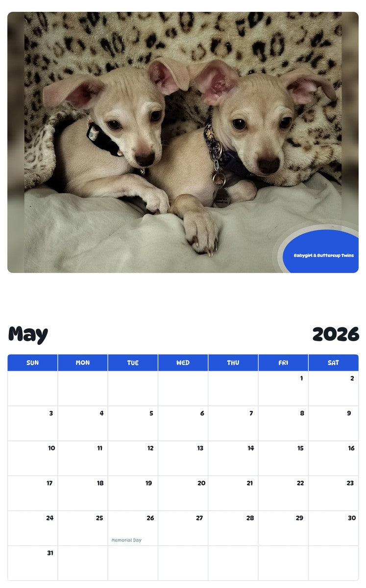 2026 - 2027 Babygirl & Buttercup Twins - Pawidols Pet Calendar