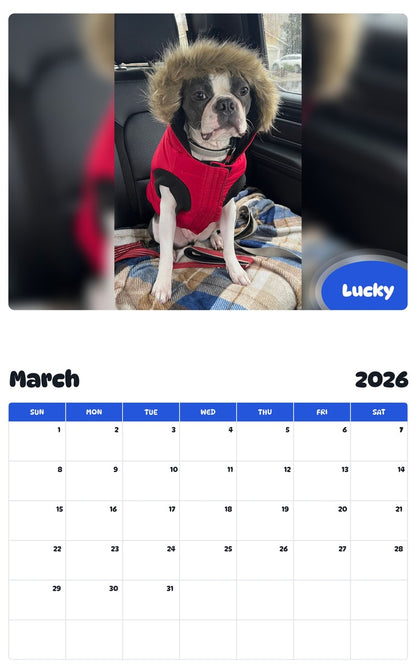 November 2025 - October 2026 Lucky - Pawidols Pet Calendar