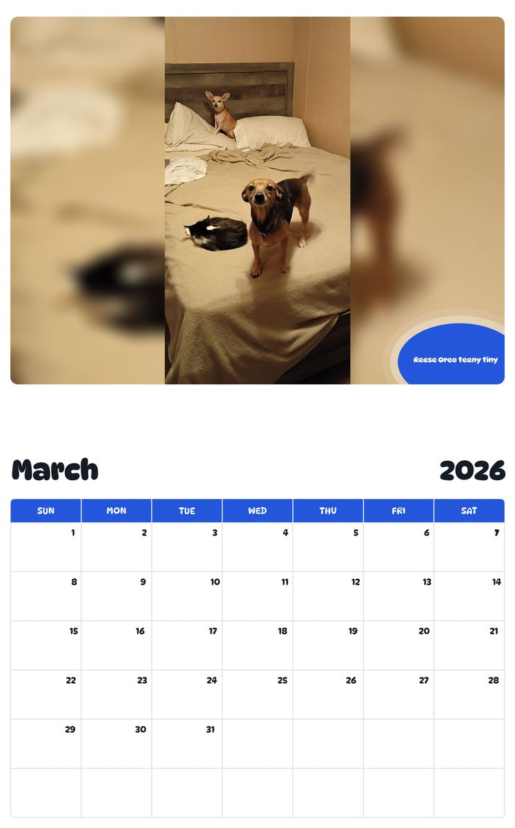 November 2025 - October 2026 Reese Oreo teeny tiny - Pawidols Pet Calendar