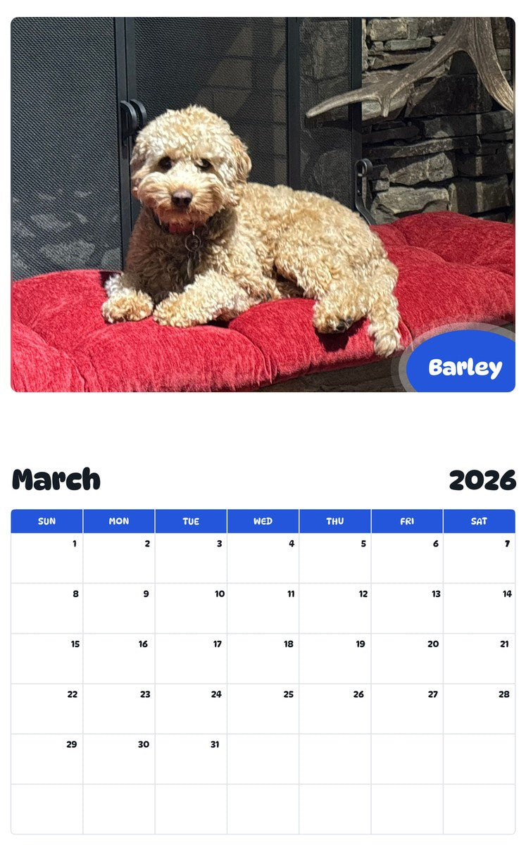 November 2025 - October 2026 Barley - Pawidols Pet Calendar