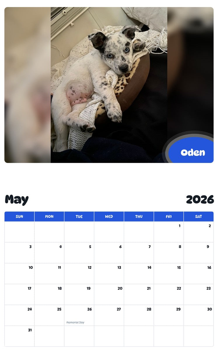 2026 - 2027 Oden - Pawidols Pet Calendar