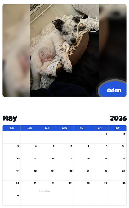 2026 - 2027 Oden - Pawidols Pet Calendar