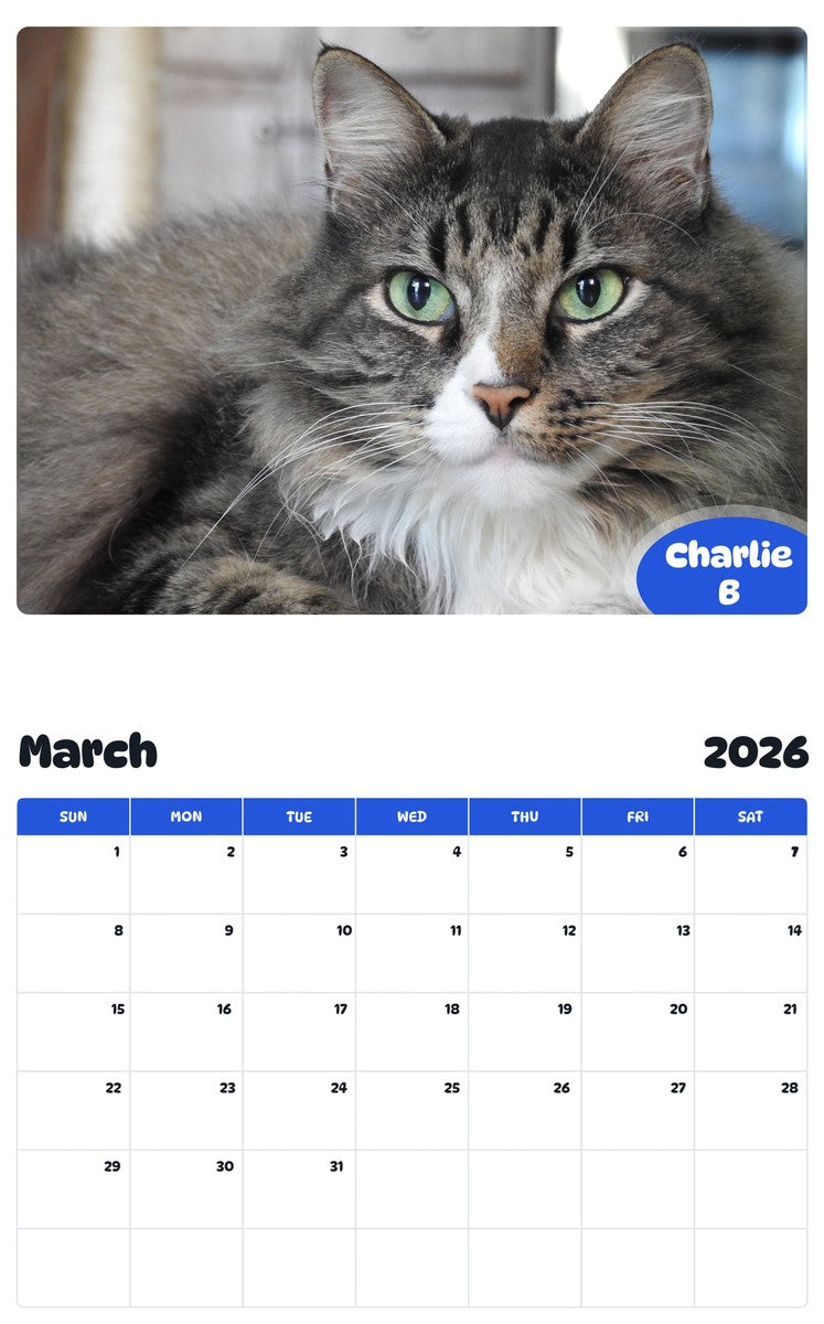 November 2025 - October 2026 Charlie B - Pawidols Pet Calendar
