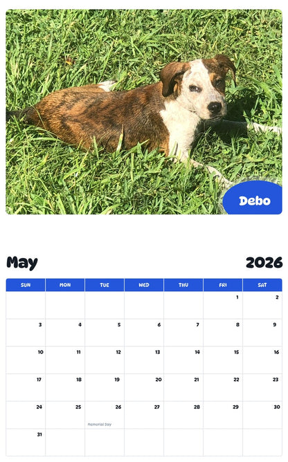 2026 - 2027 Debo - Pawidols Pet Calendar