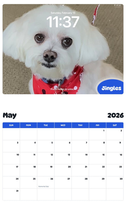 2026 - 2027 Jingles - Pawidols Pet Calendar