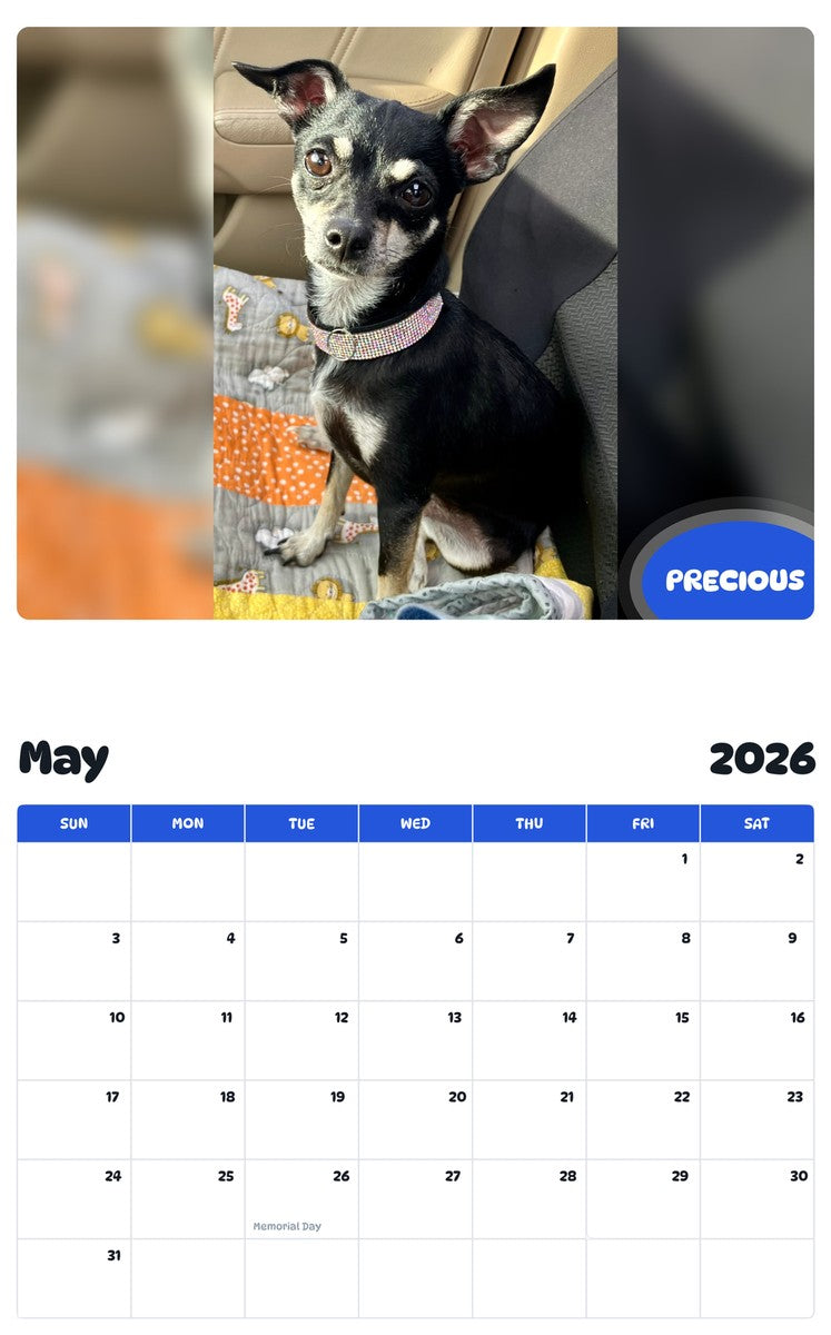 2026 - 2027 PRECIOUS - Pawidols Pet Calendar