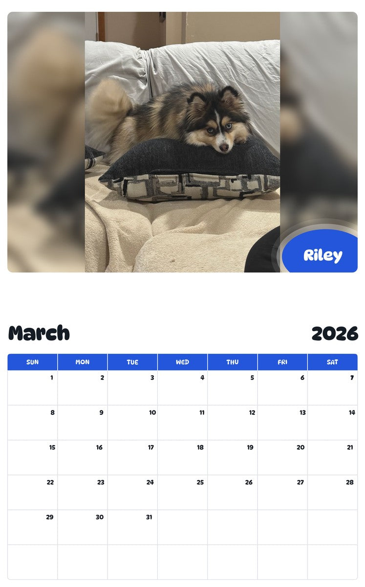 November 2025 - October 2026 Riley - Pawidols Pet Calendar
