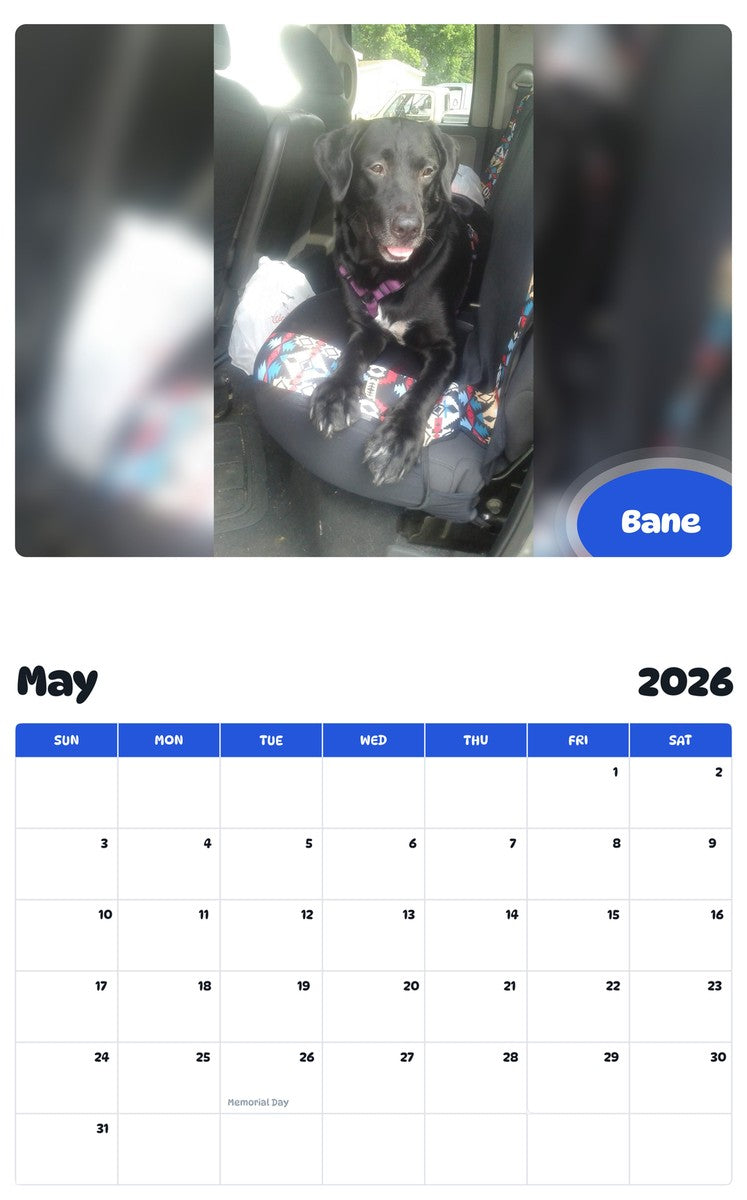 2026 - 2027 Bane - Pawidols Pet Calendar