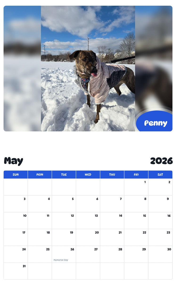 2026 - 2027 Penny - Pawidols Pet Calendar