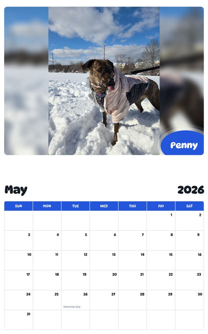 2026 - 2027 Penny - Pawidols Pet Calendar