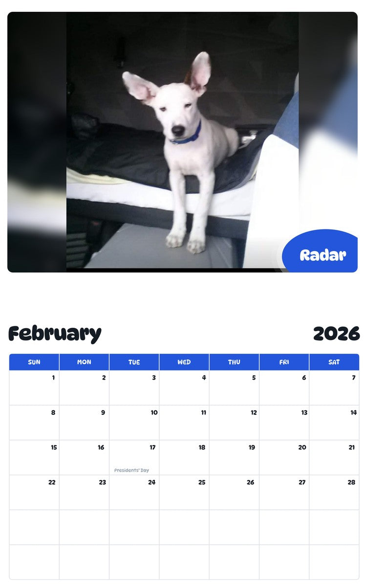 October 2025 - September 2026 Radar - Pawidols Pet Calendar