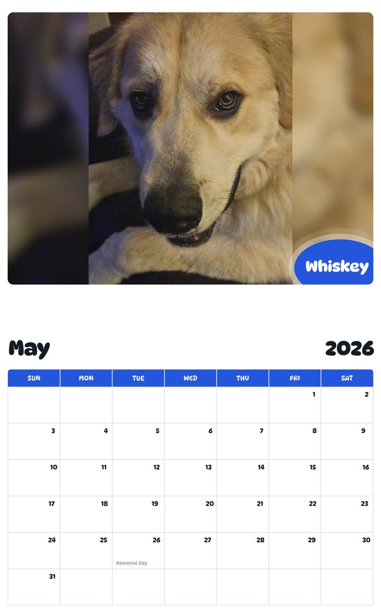 2026 - 2027 Whiskey - Pawidols Pet Calendar
