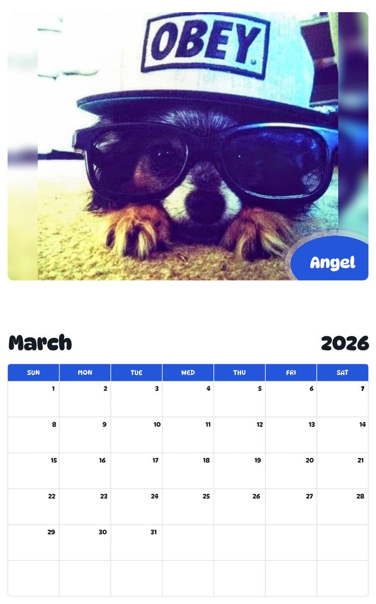 November 2025 - October 2026 Angel - Pawidols Pet Calendar