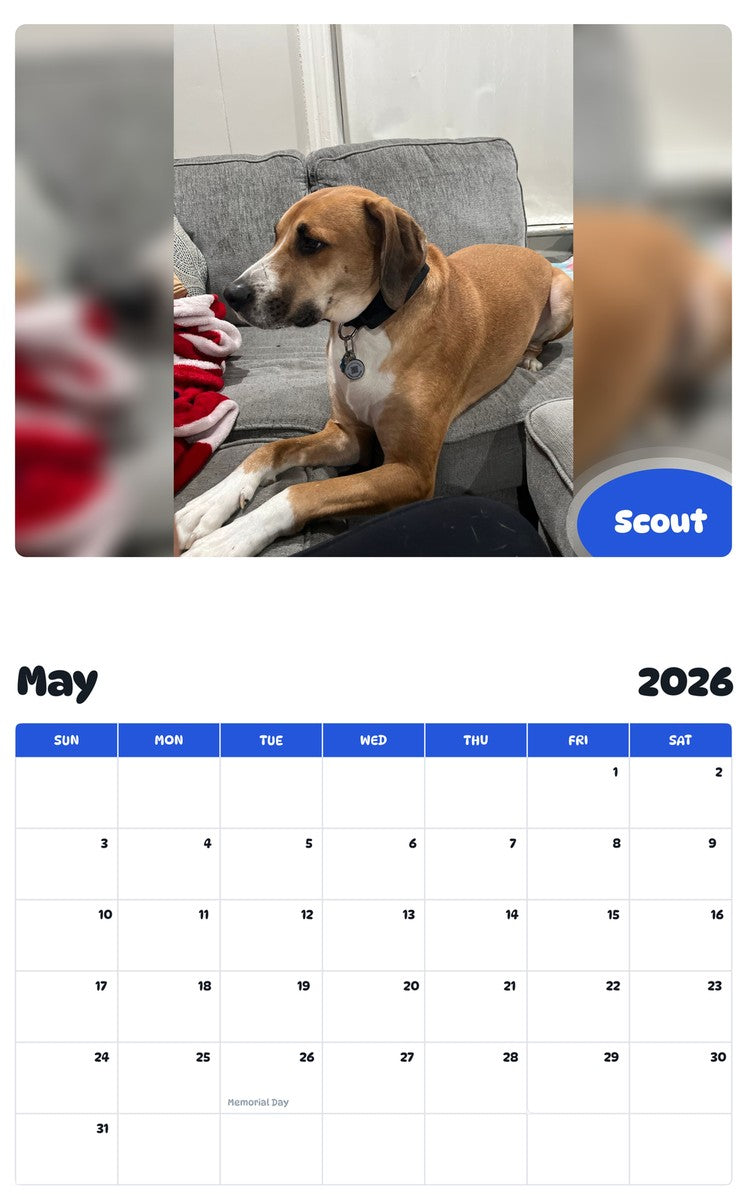2026 - 2027 Scout - Pawidols Pet Calendar