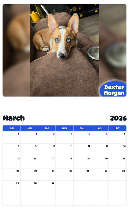 November 2025 - October 2026 Dexter Morgan - Pawidols Pet Calendar