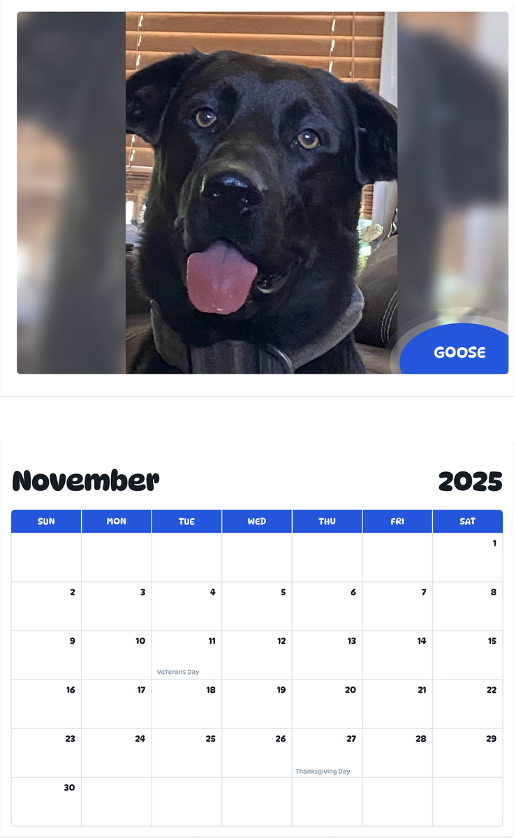 July 2025 - June 2026 Goose - Pawidols Pet Calendar