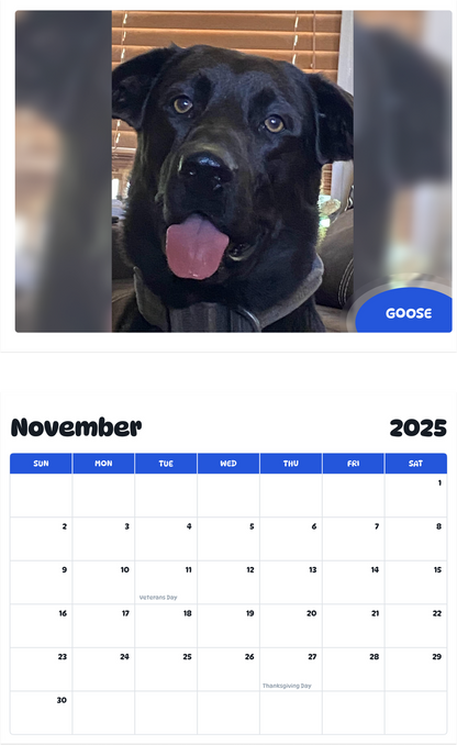 July 2025 - June 2026 Goose - Pawidols Pet Calendar