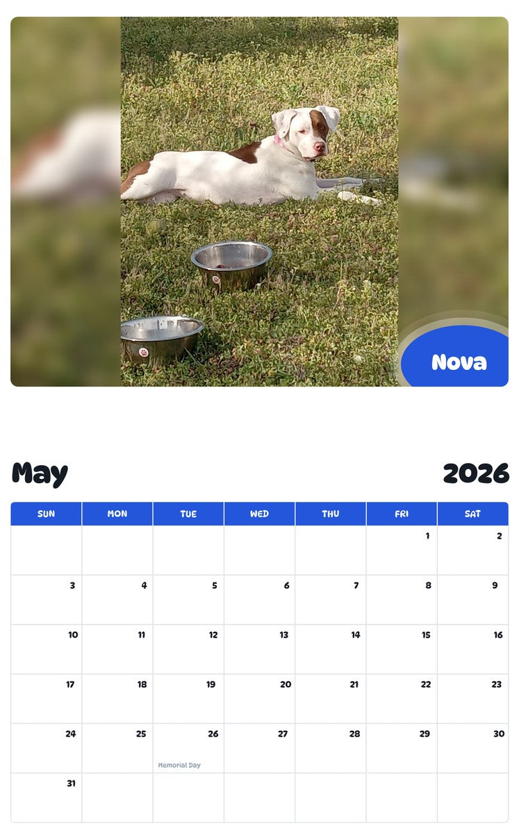 2026 - 2027 Nova - Pawidols Pet Calendar