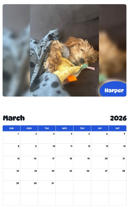 November 2025 - October 2026 Harper - Pawidols Pet Calendar