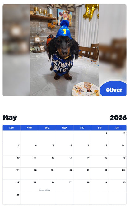 2026 - 2027 Oliver - Pawidols Pet Calendar