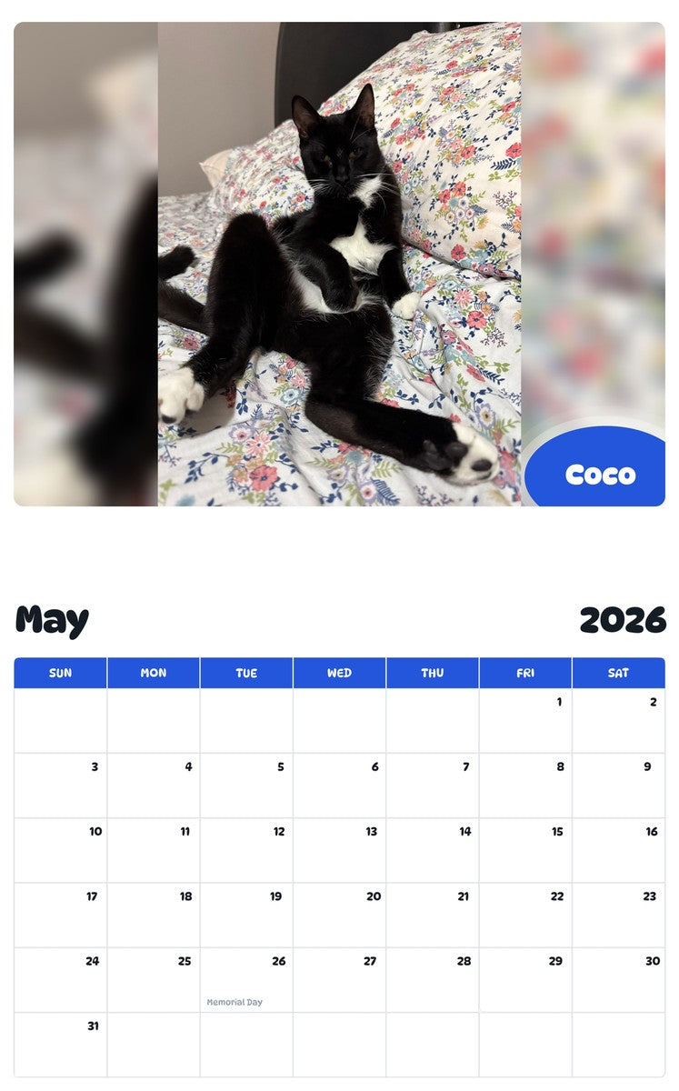2026 - 2027 Coco - Pawidols Pet Calendar
