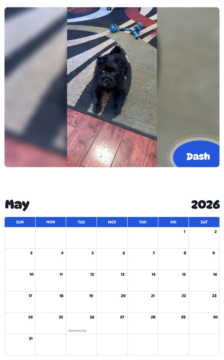 2026 - 2027 Dash - Pawidols Pet Calendar