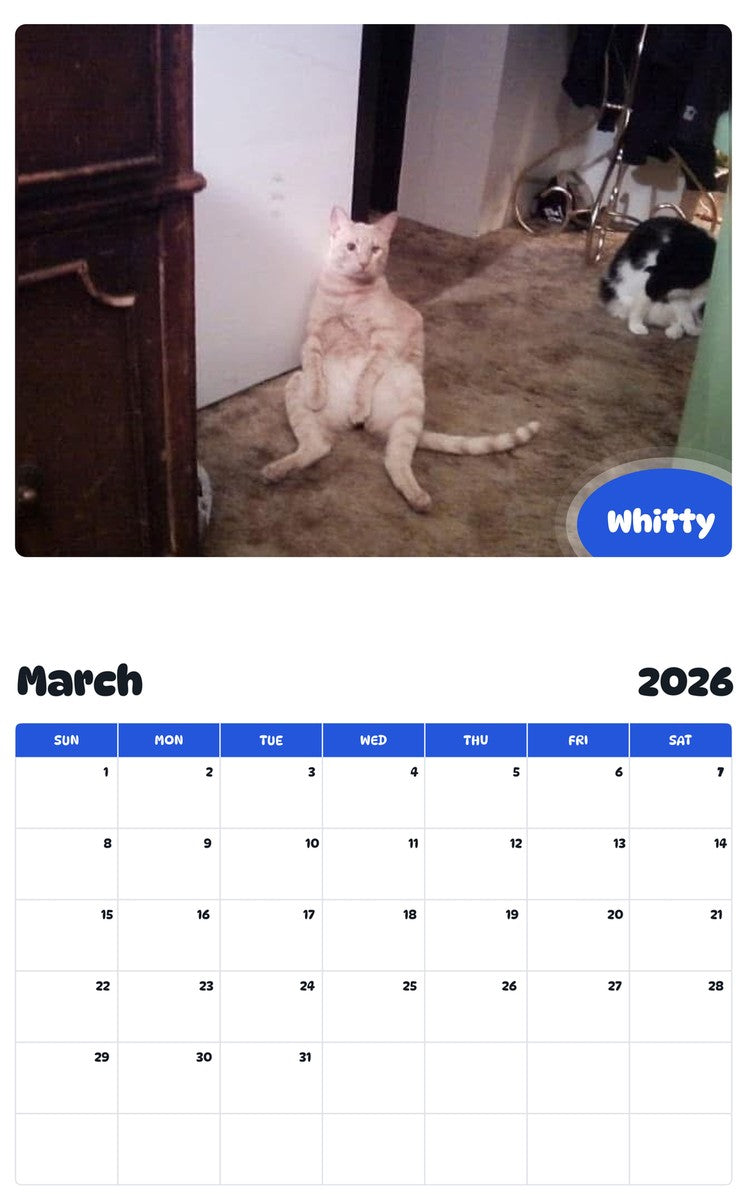 November 2025 - October 2026 Whitty - Pawidols Pet Calendar