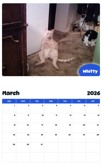 November 2025 - October 2026 Whitty - Pawidols Pet Calendar