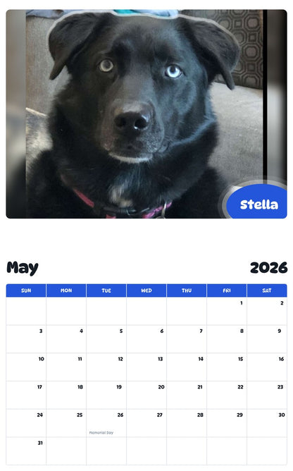2026 - 2027 Stella - Pawidols Pet Calendar